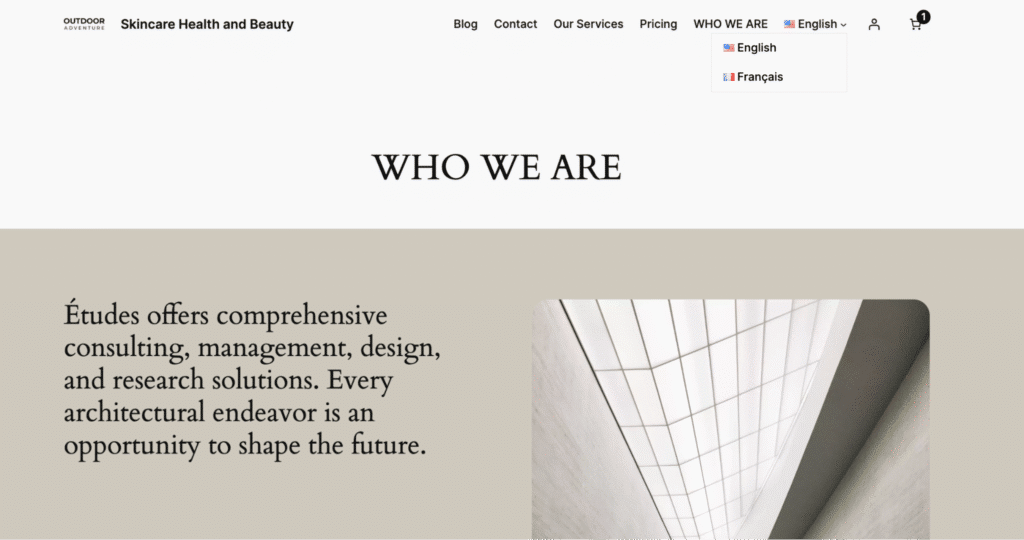 Example of a multilingual site with polylang pro