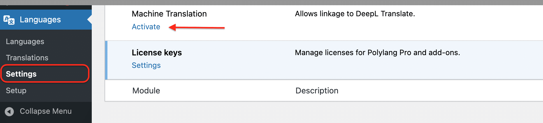 How to use DeepL machine translation with Polylang Pro - Polylang