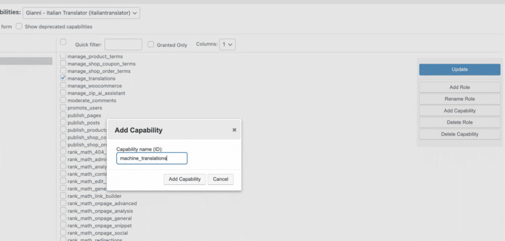 the capability to allow machine translation to a role