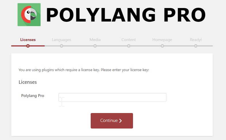 2 Setup Wizard Polylang